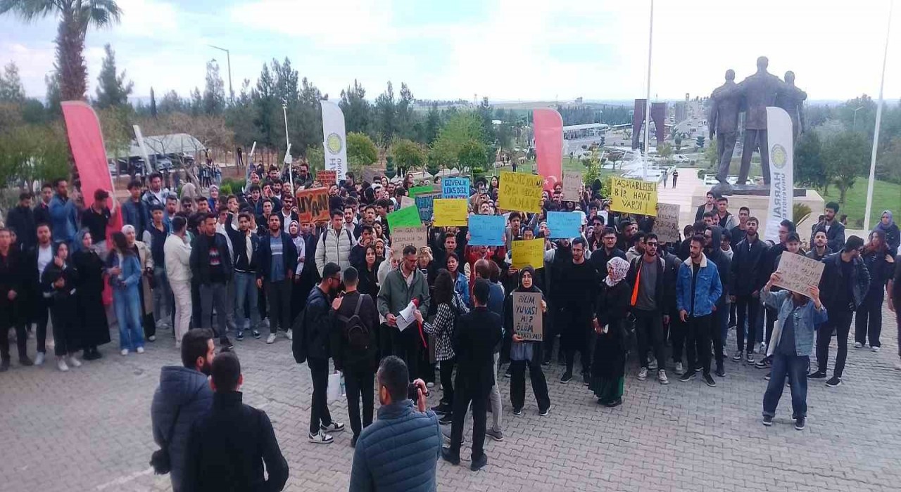 Harran Üniversitesi öğrencilerinden, başıboş sokak köpeğinin saldırısından kaçmaya çalışırken otomobilin çarpması sonucu hayatını kaybeden ölen arkadaşları için eylem
