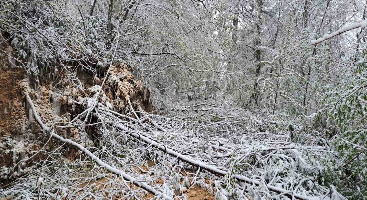 Heyelandan kapanan yol yeniden ulaşıma açıldı