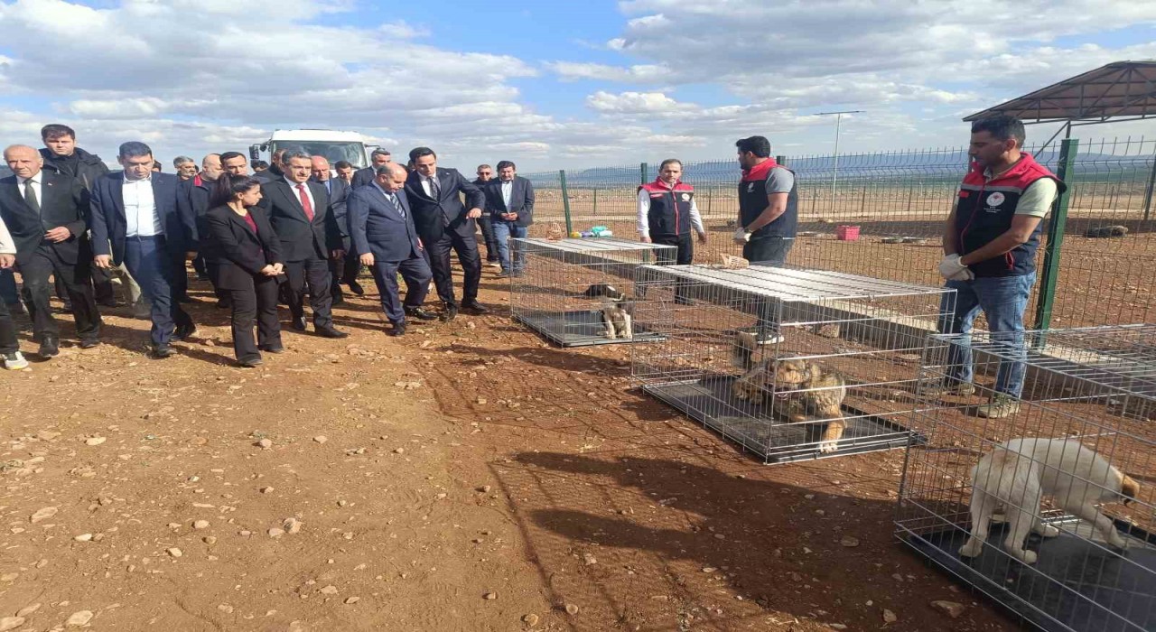 İçişleri Bakan Yardımcısı Aktaşın Şırnak temasları