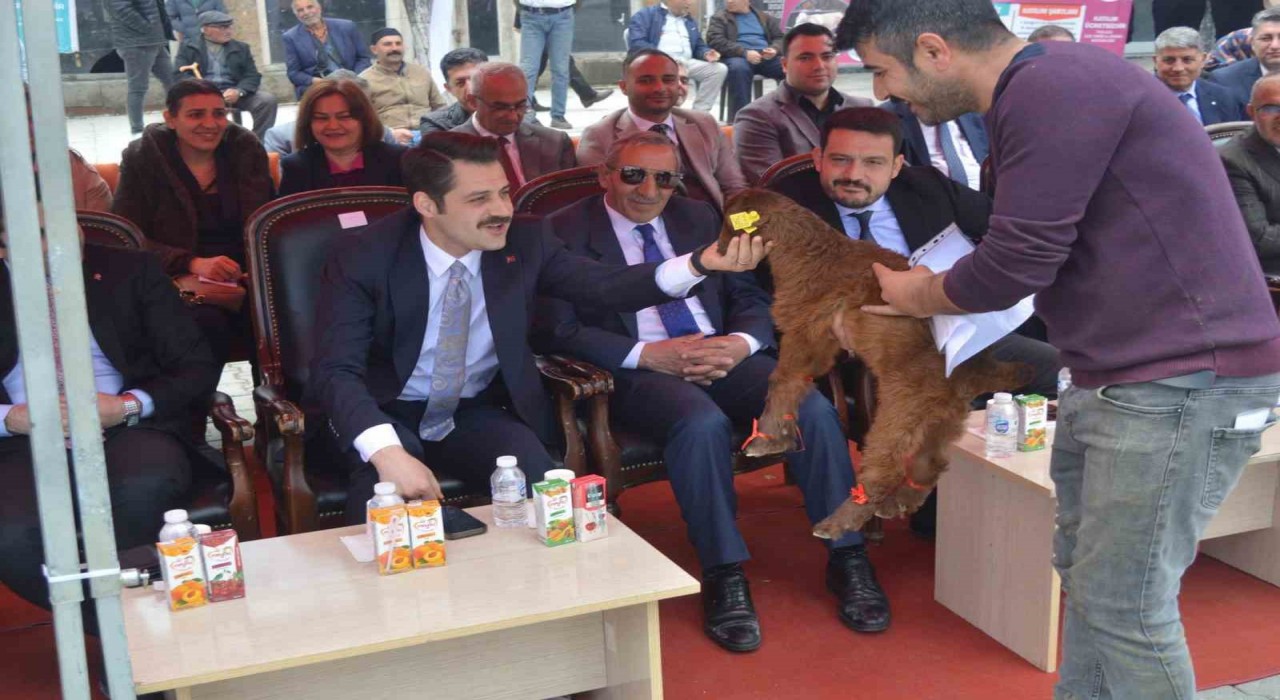 Iğdırda güzellik yarışması düzenlendi
