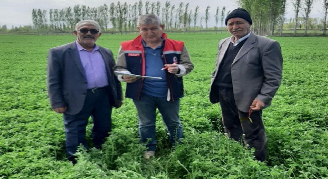 Iğdırda yem kontrolleri devam ediyor