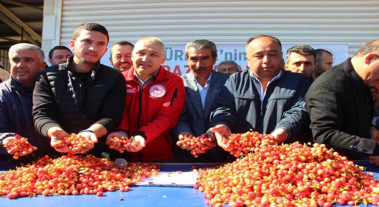 İlk kirazın kilosu 3 bin 500 TLden satıldı