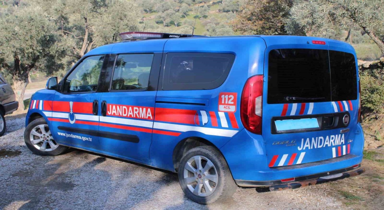 İncir hırsızı 4 şüpheli suçüstü yakalandı