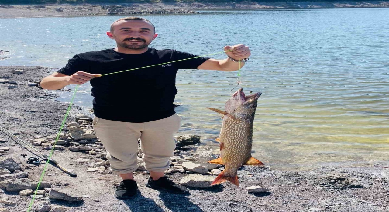 İnegölde balıkçının oltasına 7 kiloluk turna takıldı