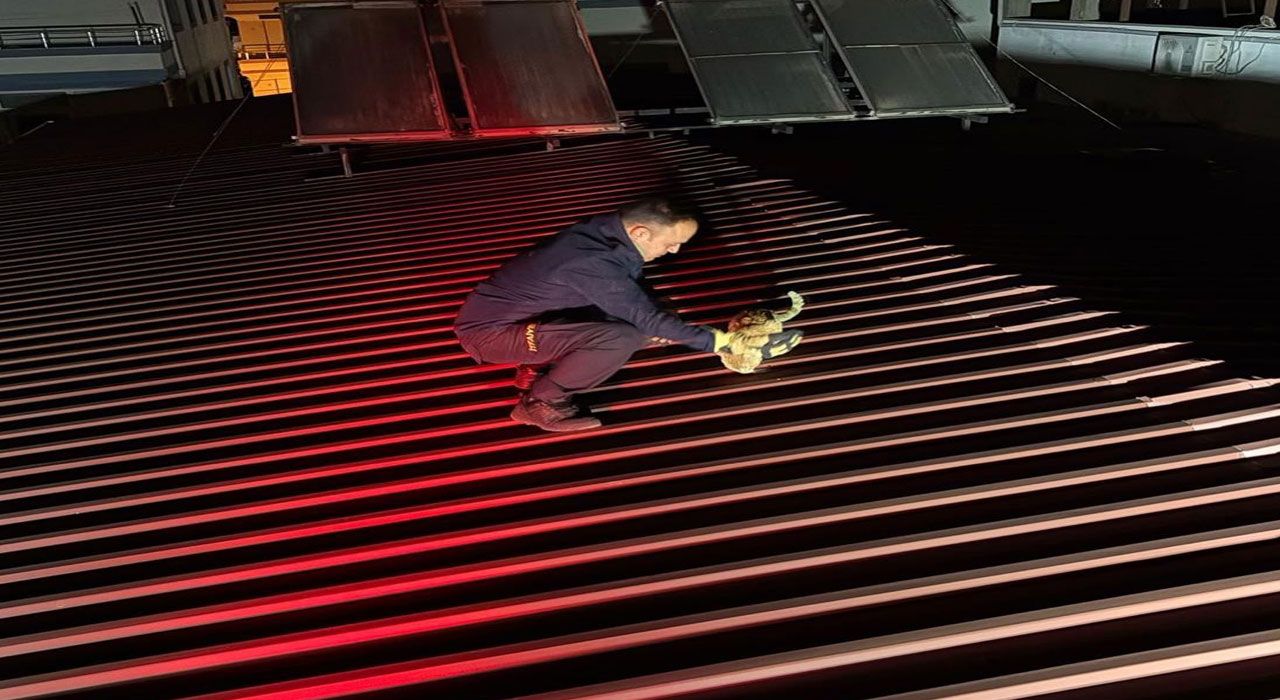 İtfaiye Ekiplerinden Kedi Kurtarma Operasyonu