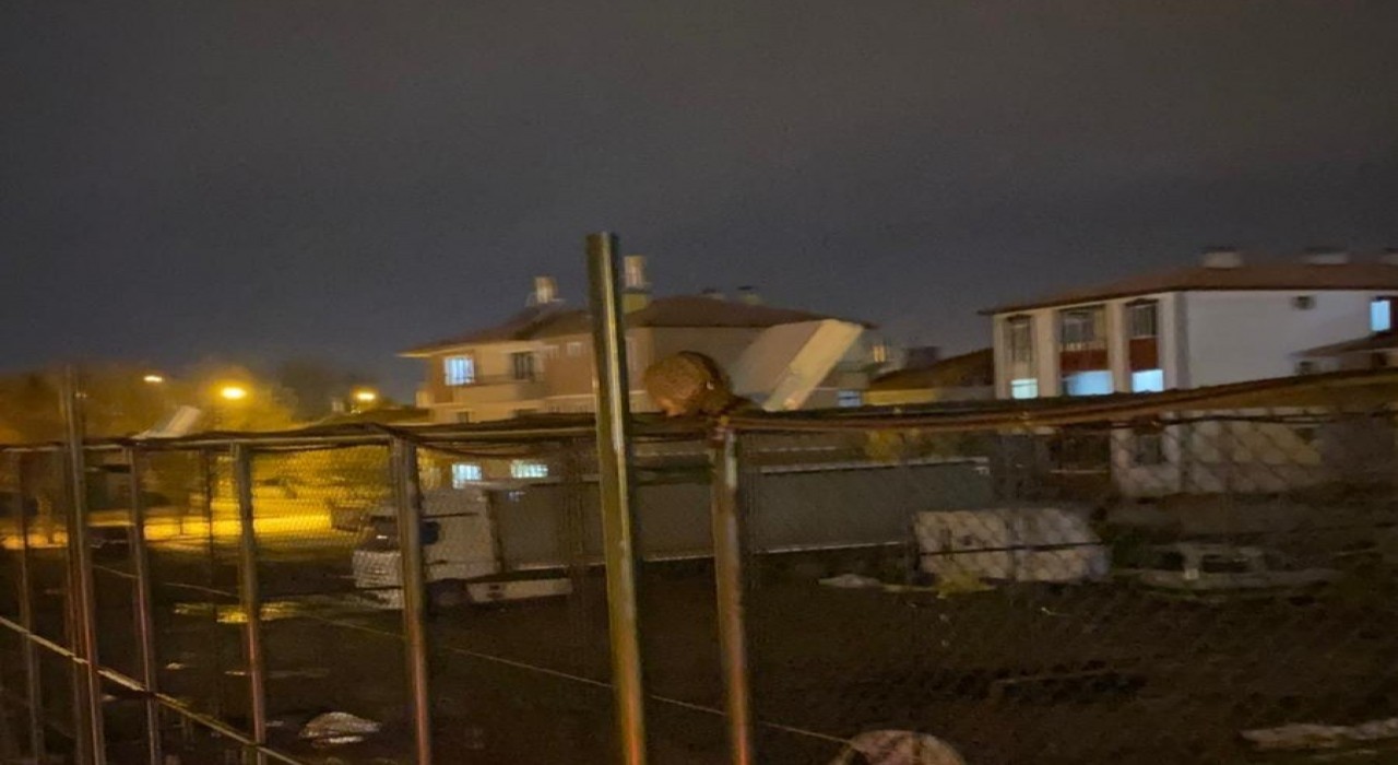 İtfaiyeden kedi kurtarma operasyonu
