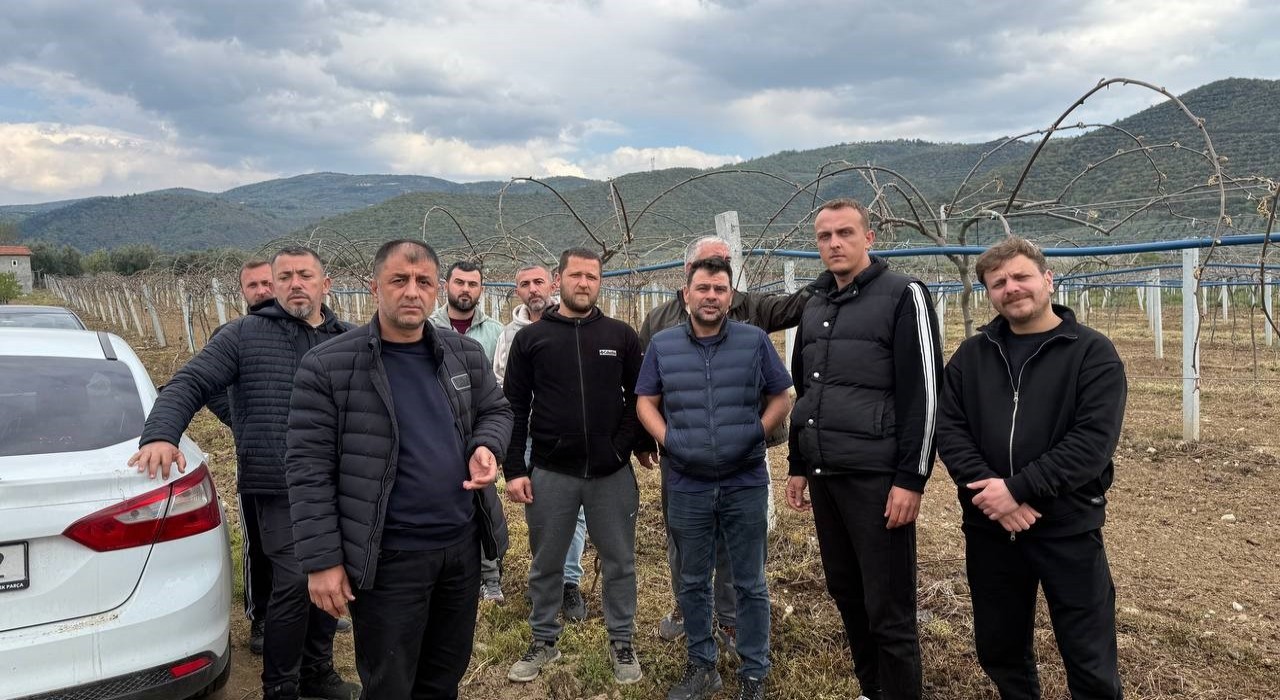 İznik Ovasını don vurdu