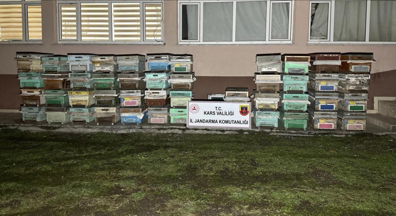 Kağızmanda arı kovanı hırsızları yakalandı