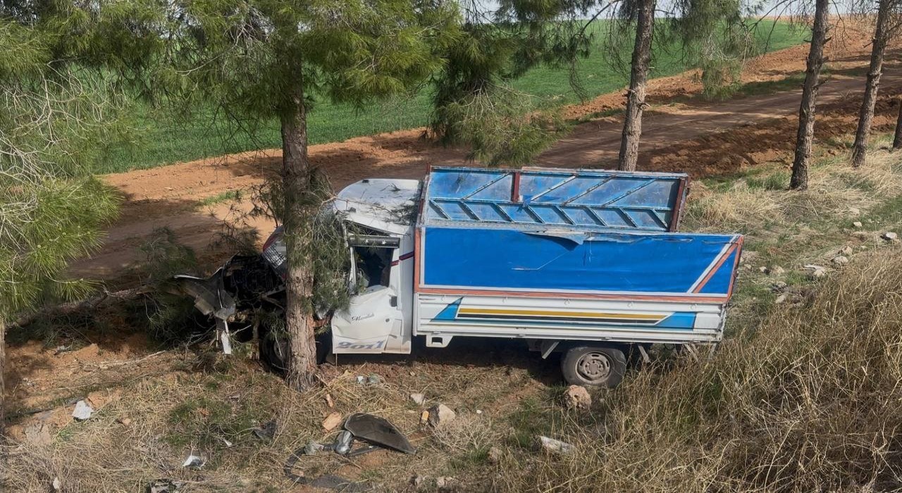 Kamyonet ağaca çarptı, sürücü yaralandı