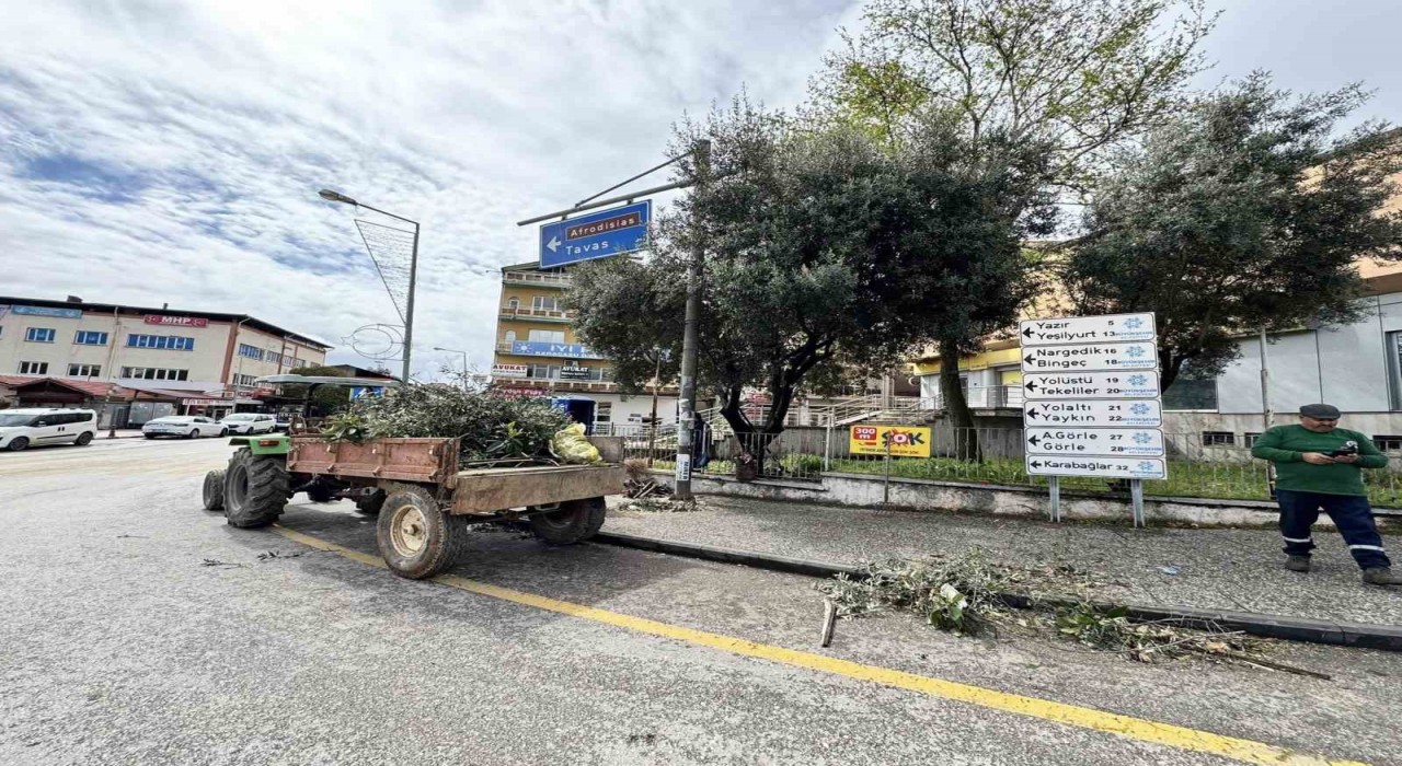Karacasuda çevre düzenlemesi devam ediyor
