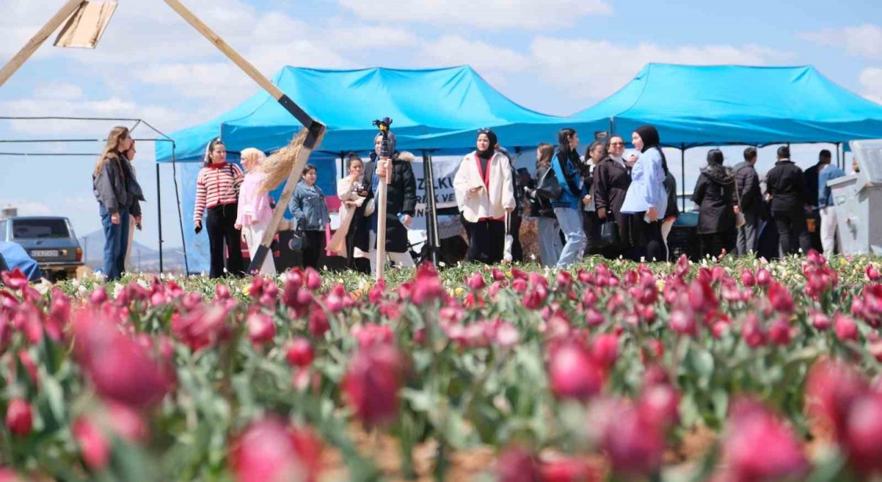 Karamanda lale tarlasını bu yıl 200 bin kişinin ziyaret etmesi bekleniyor