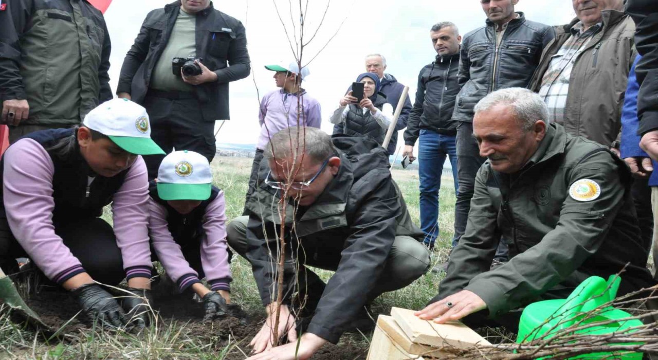 Karsta meyve ağaçları toprakla buluştu