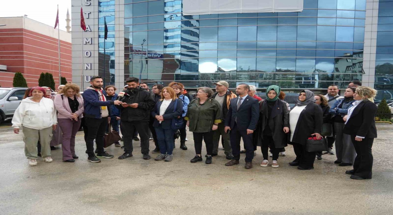 Kastamonu Belediyesinin sokak hayvanlarını toplayarak öldürdüğü iddia edildi