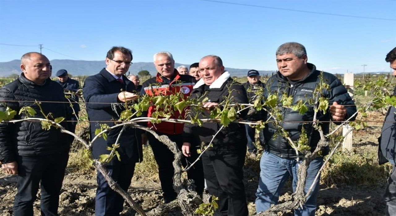Kaymakam Güldoğan, don afeti yaşayan bağları yerinde inceledi