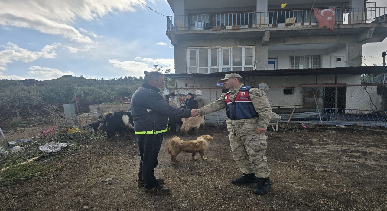 Kiliste kayıp 26 küçükbaş hayvan ormanlık alanda bulundu