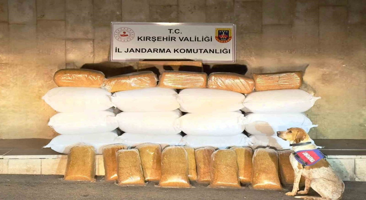 Kırşehirde 633 kilo kaçak tütün ele geçirildi