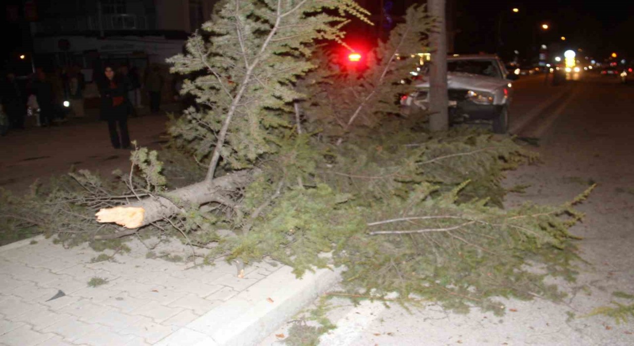 Konyada otomobil refüjdeki ağaca çarptı: 6 yaralı