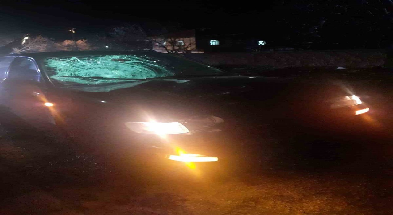Konyada otomobilin çarptığı yaşlı kadın hayatını kaybetti