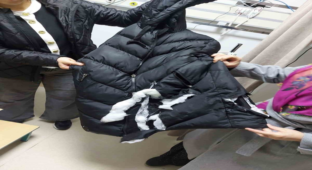 Köpeklerin saldırısına uğrayan kadın yaralandı: O anlar kameraya yansıdı