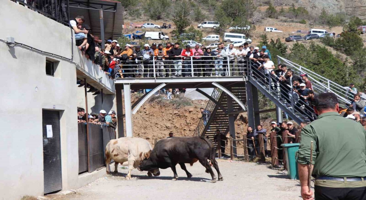 Kral ile Ateş arenaya sığmadı