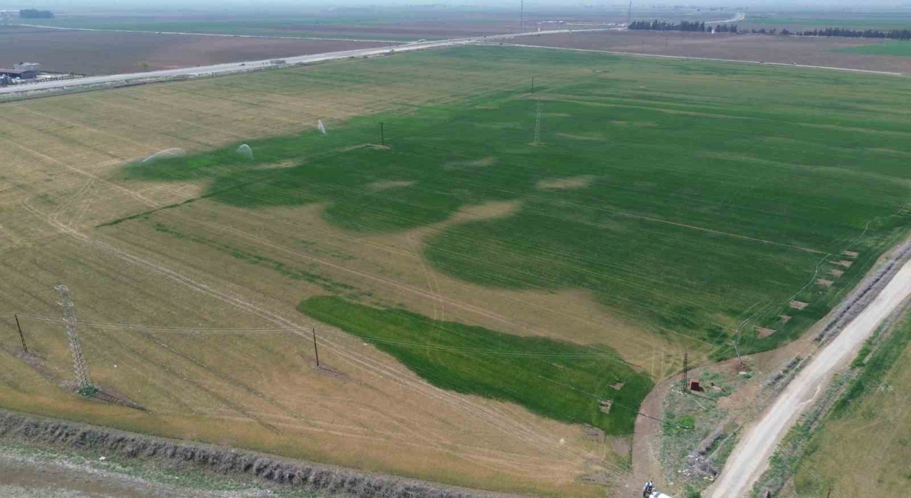 Kuraklığın etkisiyle yarıkların oluştuğu Amik Ovası için bilim adamından kritik uyarı