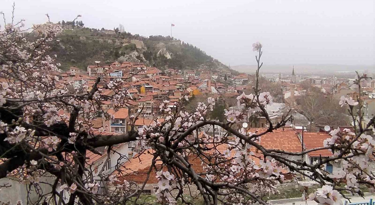 Kütahyada badem ağaçları bu yıl zamanında çiçek açtı