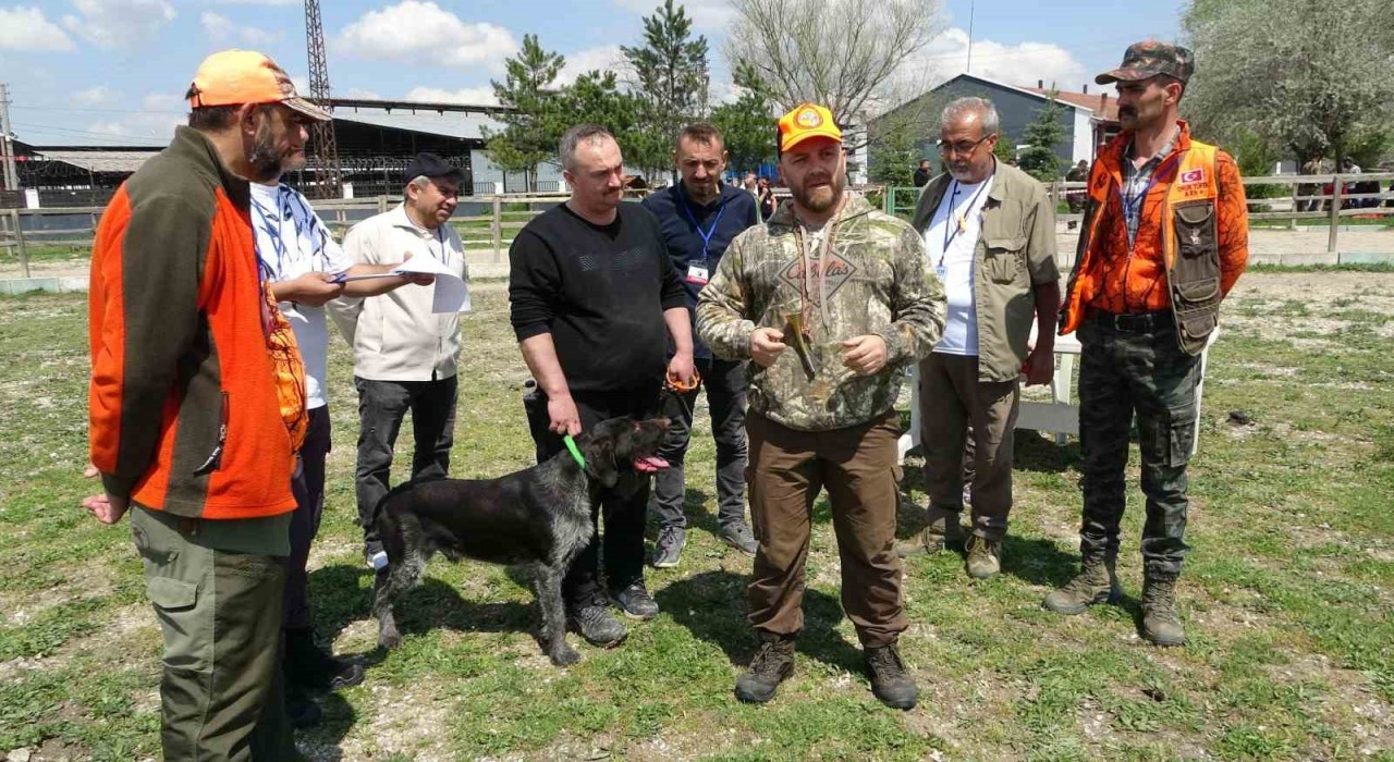 Kütahyada Fermalı Av Köpekleri Mera Yarışması düzenlendi