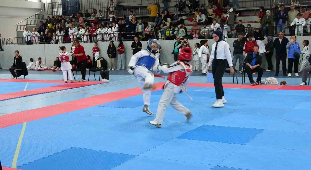 Kütahyada Minikler Taekwondo Yarışmaları ilgi gördü