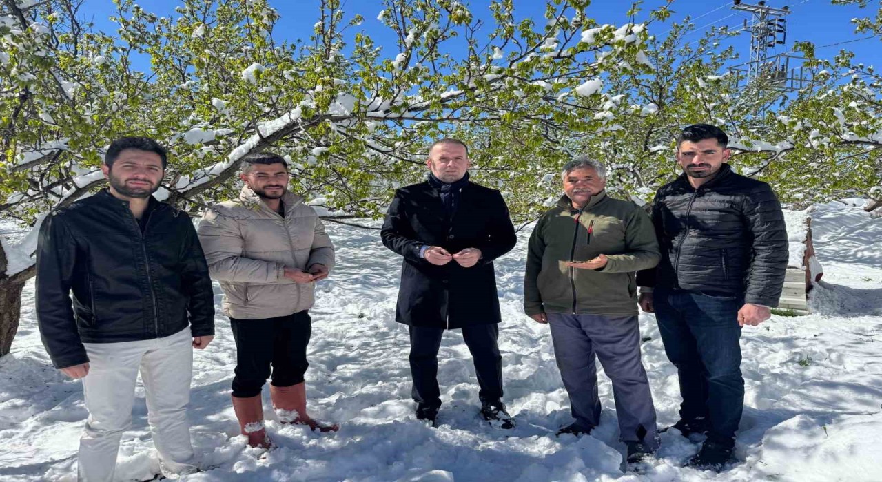 Malatyada kayısı da don felaketi