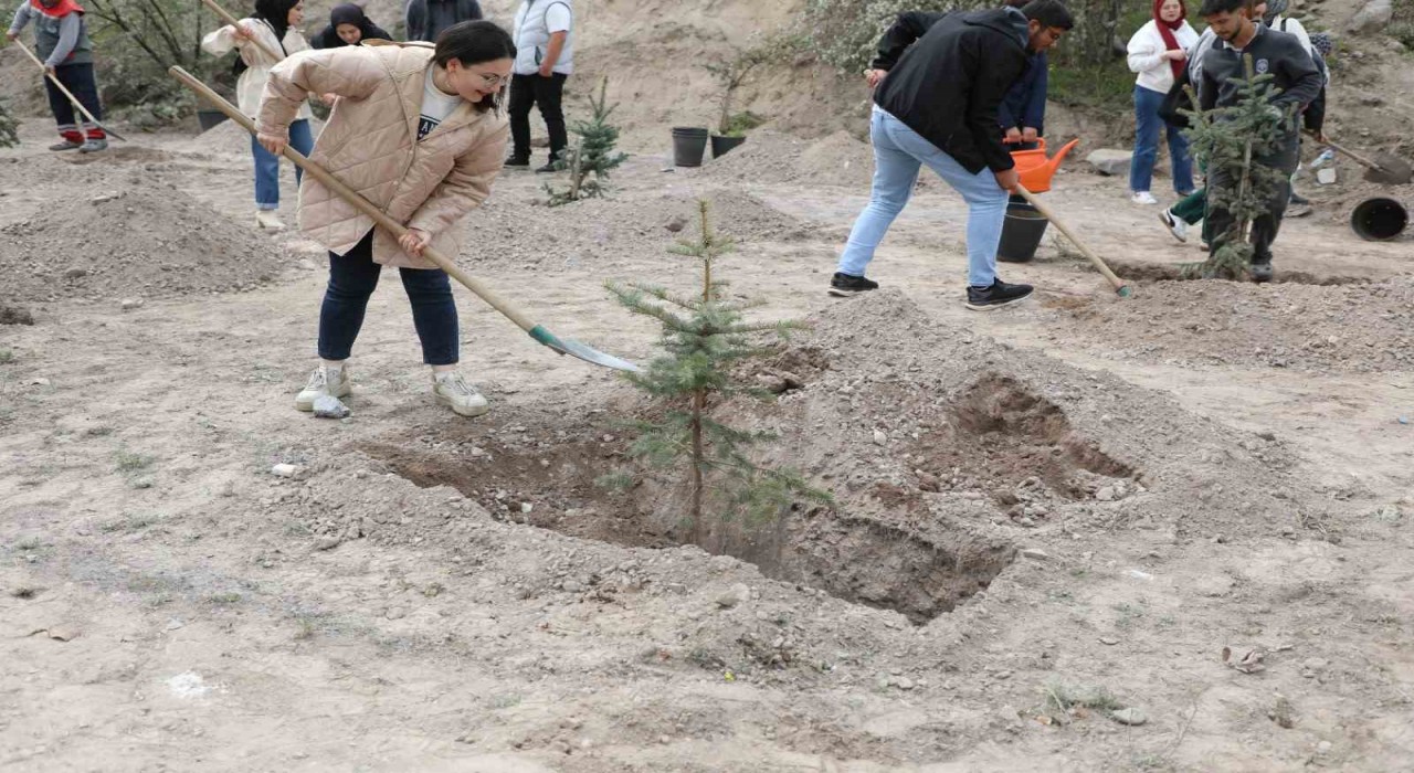 Melikgazinin yeşil dokusu güçleniyor