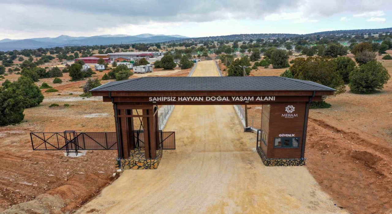 Meram Belediyesinden sahipsiz köpek sorununa insani ve vicdani çözüm