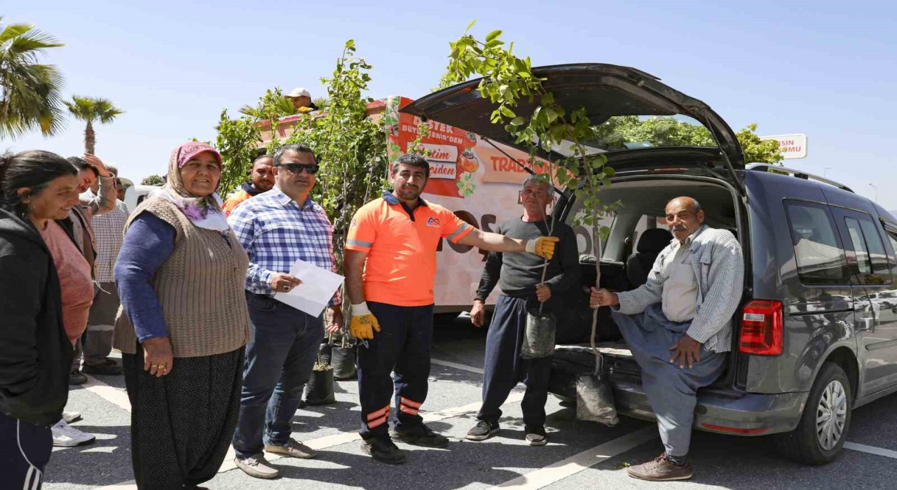 Mersinde üreticilere Trabzon hurması fidanı dağıtılıyor