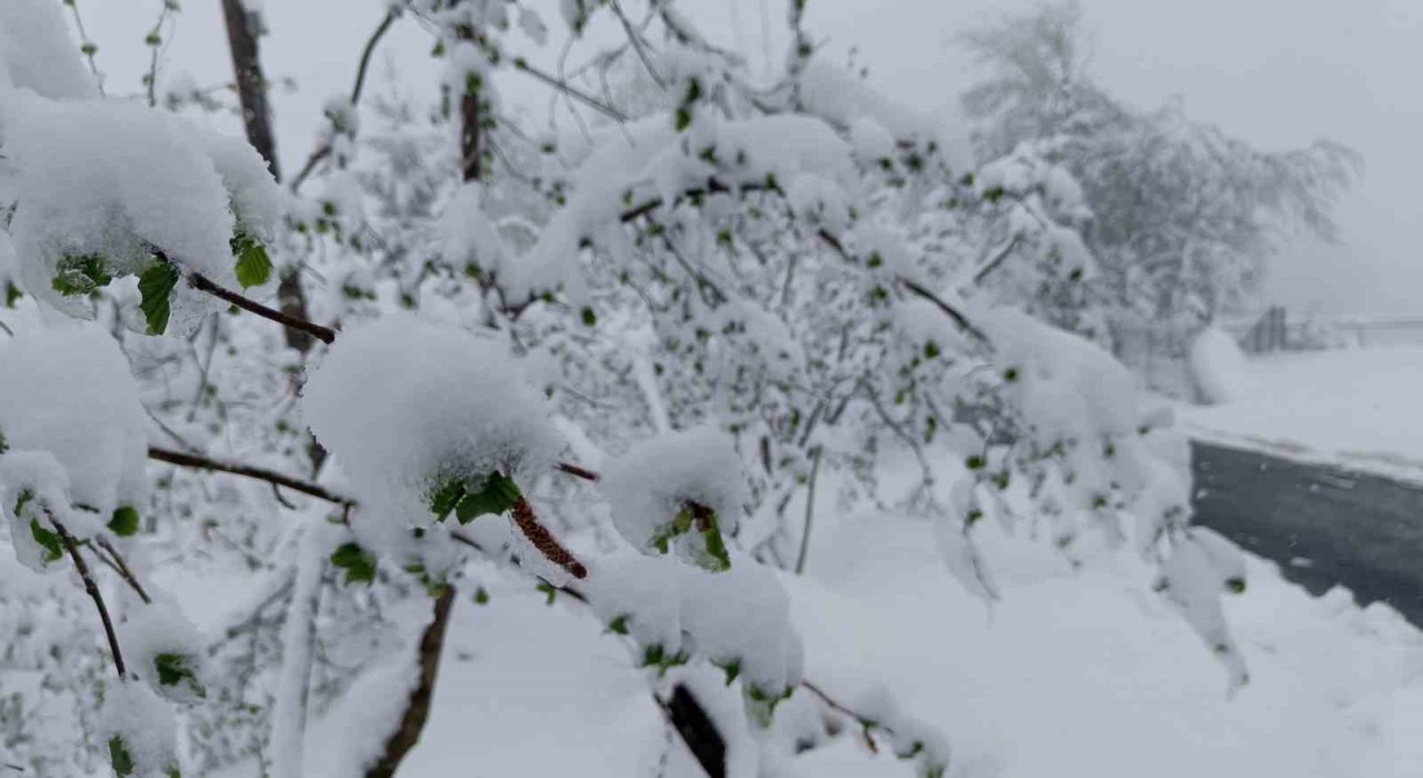 Meteorolojiden Ordu için sarı kodlu uyarı