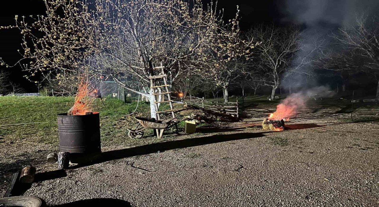 Meyve ağaçlarını zirai dona karşı ateş yakarak koruyor