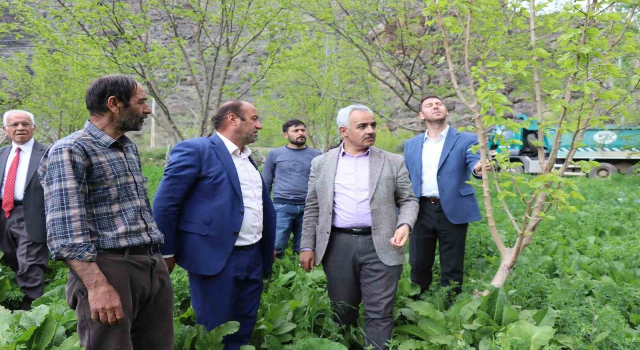 Meyve deposu Ayvalı Mahallesinde don meyve ağaçlarına zarar verdi