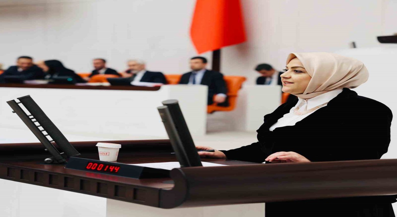 Milletvekili Ün; İklim Yasasına hayır diyorum
