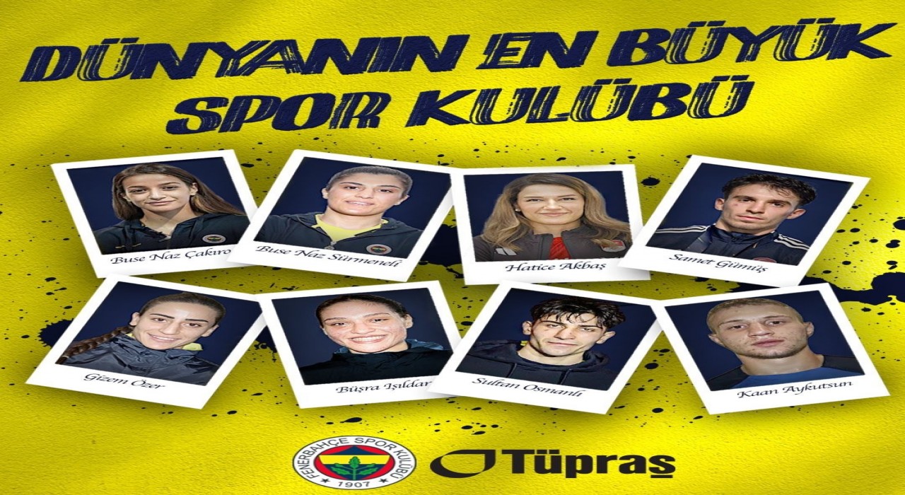Milli boksör Kaan Aykutsun, Fenerbahçede