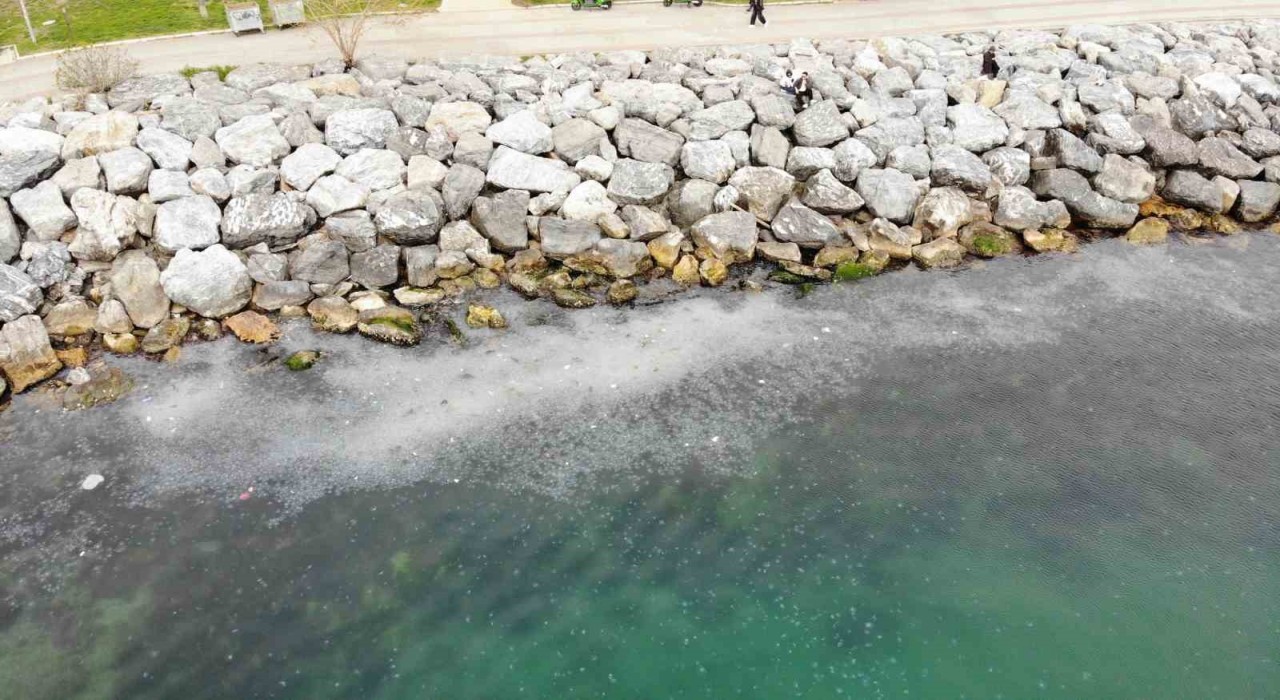 Moda Sahilini denizanası bastı: Dron ile böyle görüntülendi