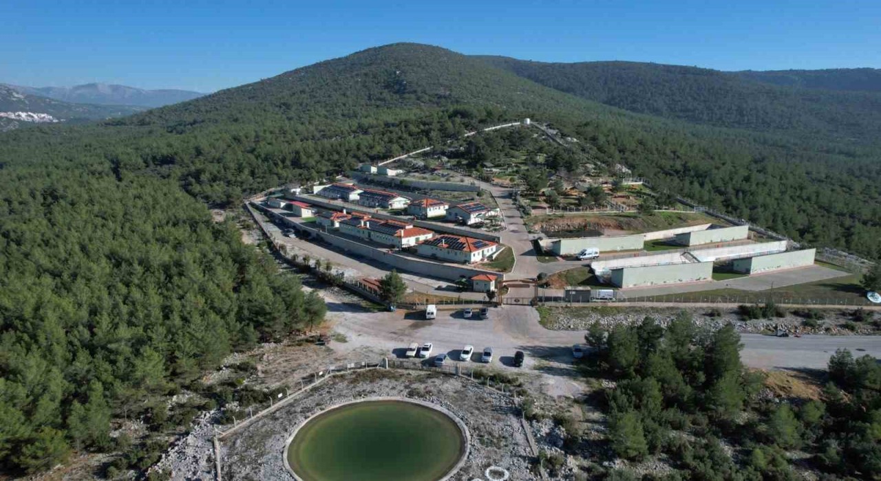 Muğlada 3 bin 596 can dostu sahiplendirildi