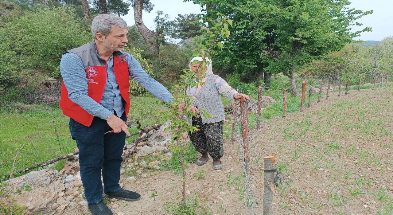 Muğlada kapsamlı tarımsal takip