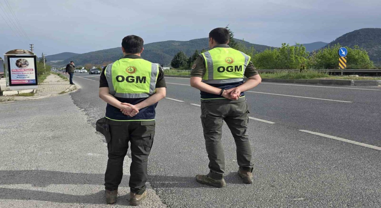 Muğlada orman emvali kontrolleri sürüyor