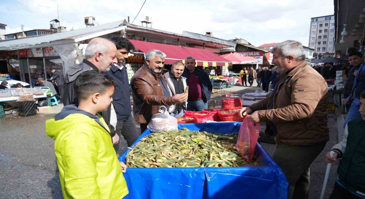Muşta baharın habercisi çiriş otu, doğadan tezgahlara indi
