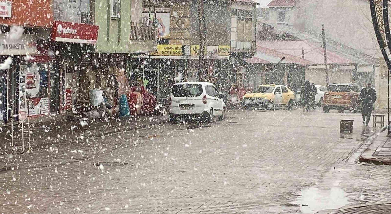 Nisan ayında Bingölde lapa lapa kar sürprizi