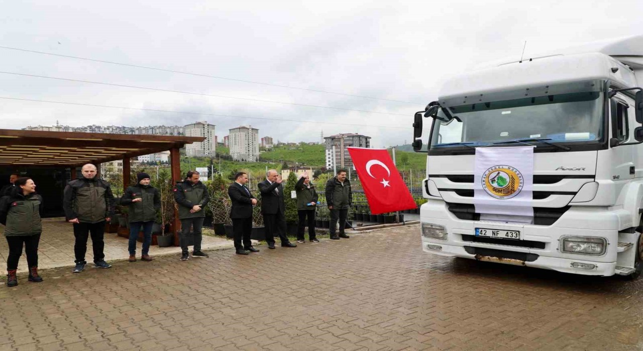 Ordudan Azerbaycana 3 tır orman fidanı gönderildi