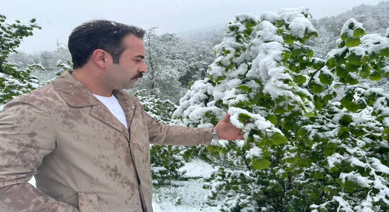 Ordunun yüksek kesimlerinde kar yağışı: Fındık üreticileri tedirgin oldu