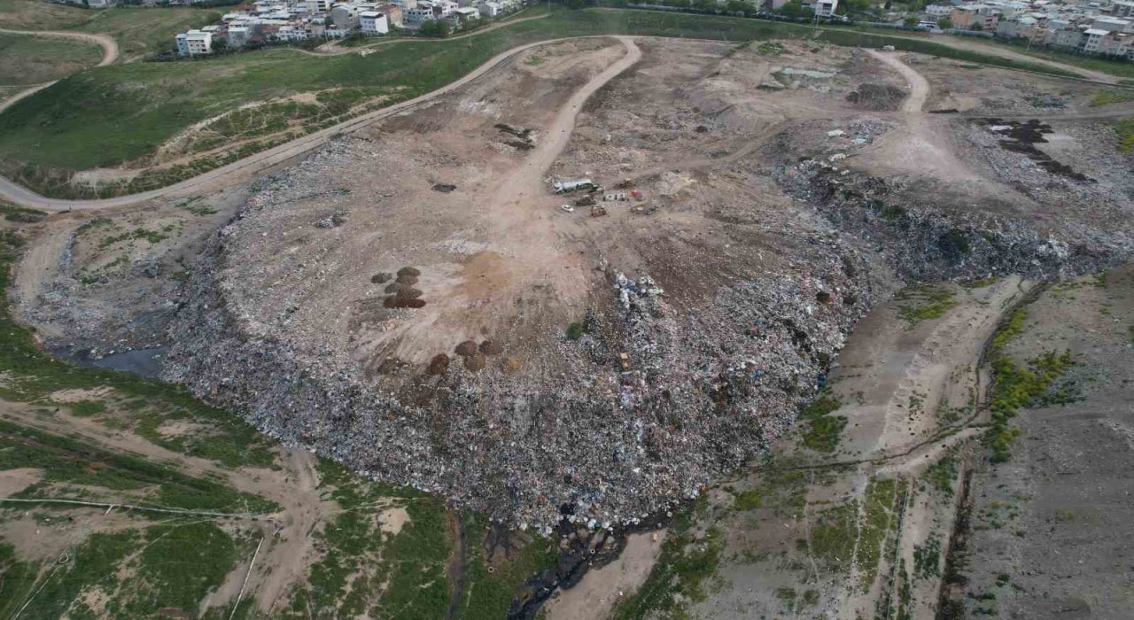 Osmangazide hayvan katliamı kenti ayağa kaldırdı