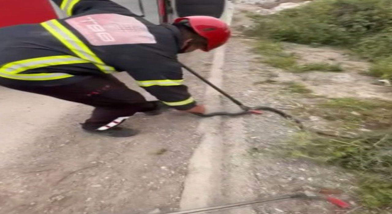 Osmaniye’de Elektrik Panosuna Giren Yılan İtfaiye Tarafından Kurtarıldı