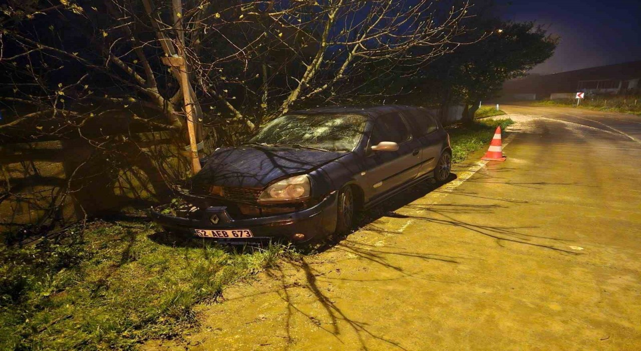 Otomobil elektrik direğine çarptı: 3 yaralı