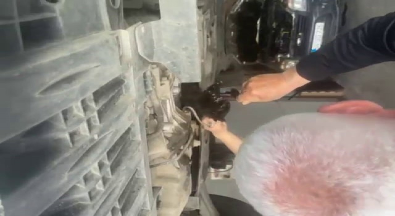 Otomobilin motoruna giren kediyi tamirci kurtardı