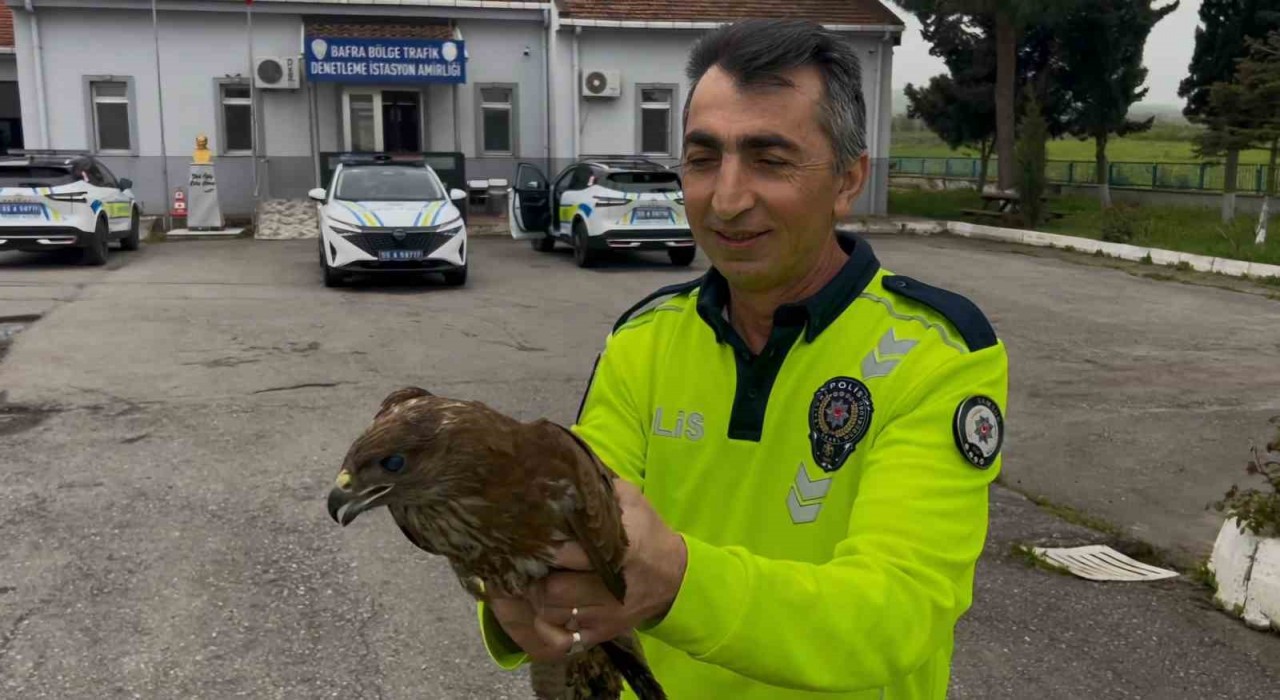 Polisin bulduğu yaralı halde bulduğu doğan koruma altına alındı